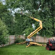 Mulching Services in Indian Hills, NM